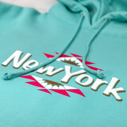 dollar can pullover hoodie mint closeup